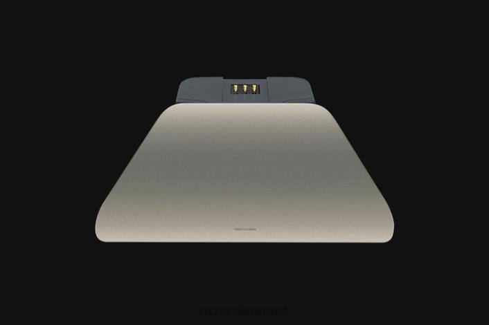 én farve konsol 44RF169 universal hurtigopladningsstander til xbox - lunar shift Razer