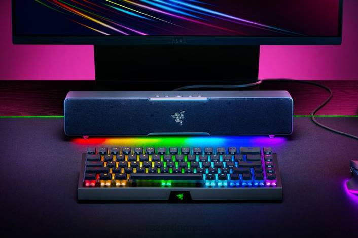 én farve gaming lyd 44RF84 leviathan v2 x Razer