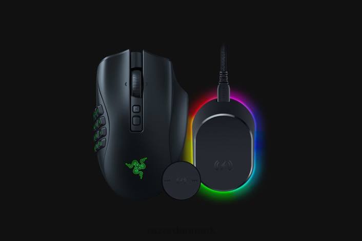 én farve mus 44RF44 naga v2 pro + mouse dock pro bundt Razer