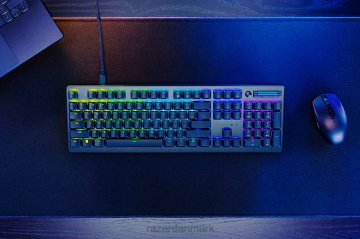 én farve tastatur 44RF67 deathstalker v2 - clicky optisk switch - os Razer