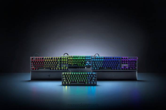 én farve tastatur 44RF73 huntsman mini analog - os Razer