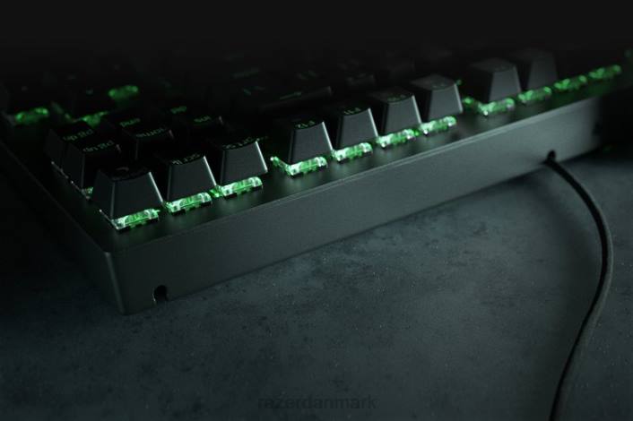sort tastatur 44RF62 blackwidow v3 tenkeyless - gul switch - os Razer