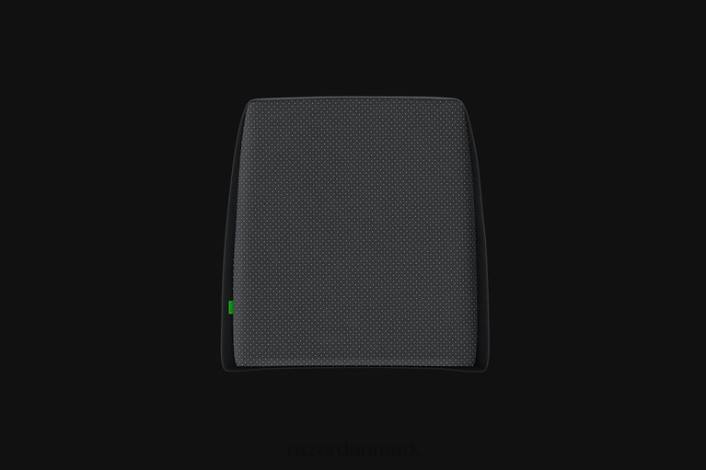 én farve gaming stol 44RF146 lændepude Razer